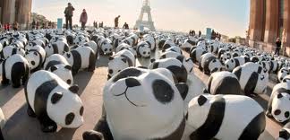 landscape of pandas