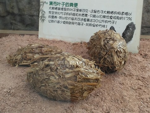 Cacca di panda